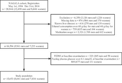 Association Between METS-IR and Prehypertension or Hypertension Among Normoglycemia Subjects in Japan: A Retrospective Study